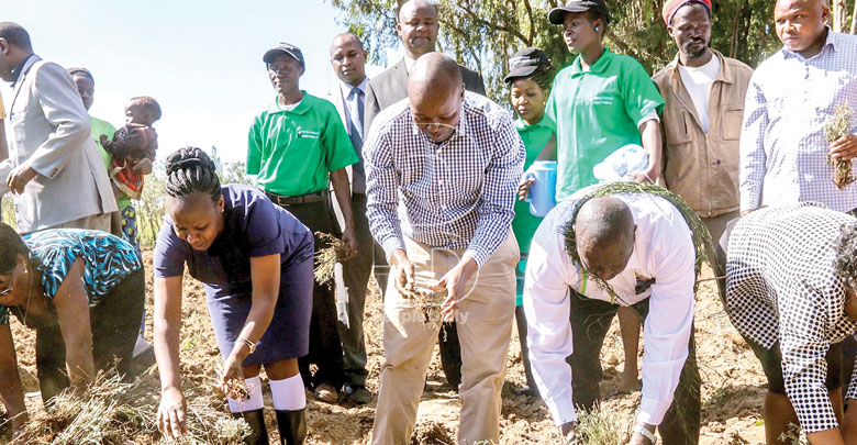 Nakuru farmers yearn for the return of white flowers