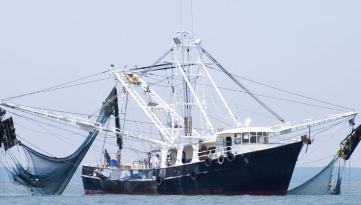 The seamen say the owner of the vessel often brandished a gun as he monitored them work. [PHOTO | COURTESY]