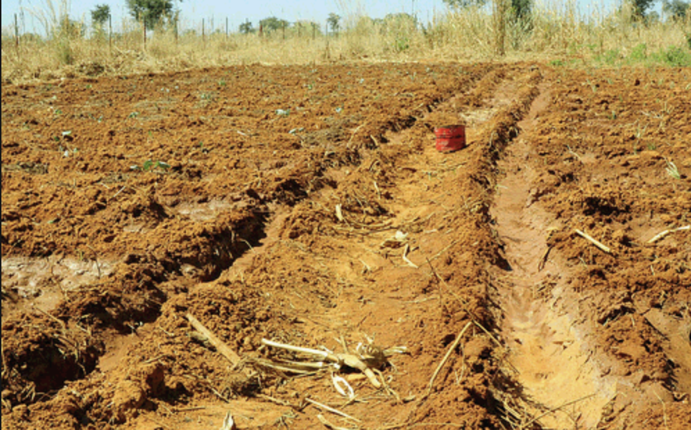 Isiolo residents cry foul as Kiambu tycoon moves to eject 700 families from land