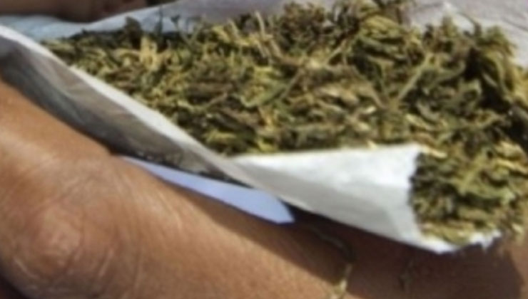 Five male pupils from Kakamega are being held at Kabras Police Station after they were found in possession of 20 grams of bhang. [PHOTO | FILE]