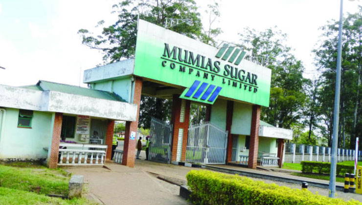 The Mumias Sugar Company Limited was on Tuesday, September 24, 2019, placed under receivership by KCB. [PHOTO | FILE]