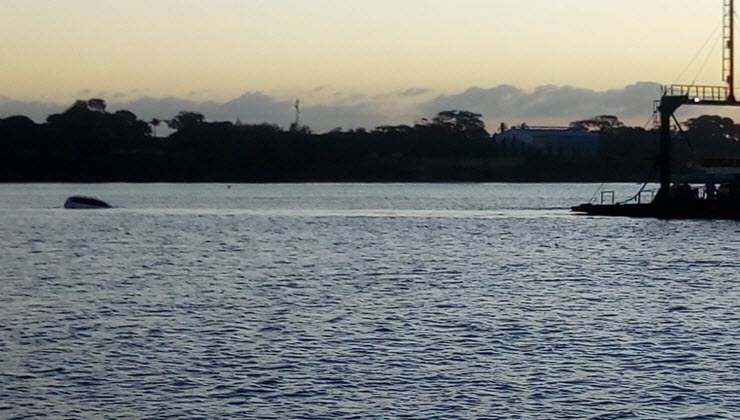 MV Harambee ferry