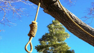 noose