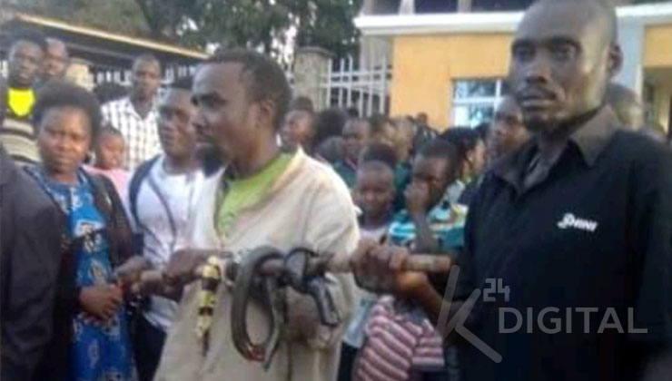 It took at least six hours and a concerted effort by firefighters to remove a 6-foot snake that had undulated into Baringo County Assembly. [PHOTO | K24 DIGITAL]