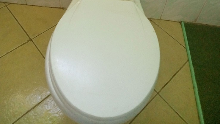 toilet seat