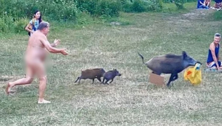 Onlookers were amused by the sight of a naked man chasing a wild boar carrying his belongings [PHOTO: COURTESY OF ADELE LANDAUER]