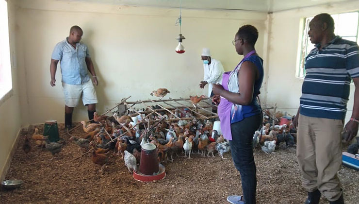 poultry farm