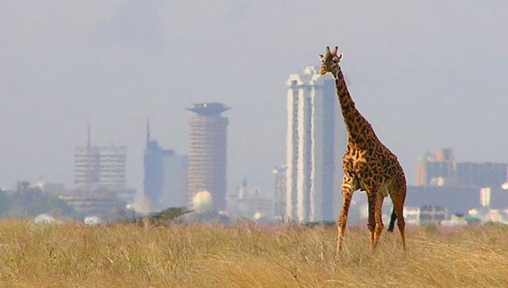 Nairobi National Park