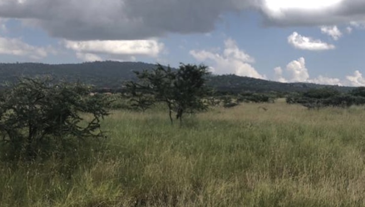 Body of man found near Daystar University, hyena who feasted on his remains also dies
