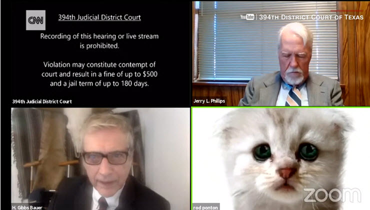 Lawyer accidentally appears as a cat in a virtual court case