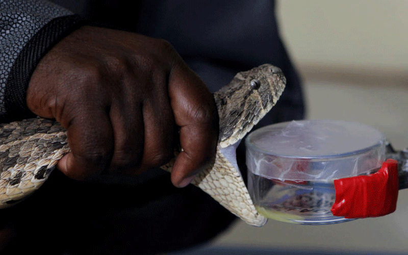 Shock in Baringo after huge python emerges in house of dead snake handler hours after burial