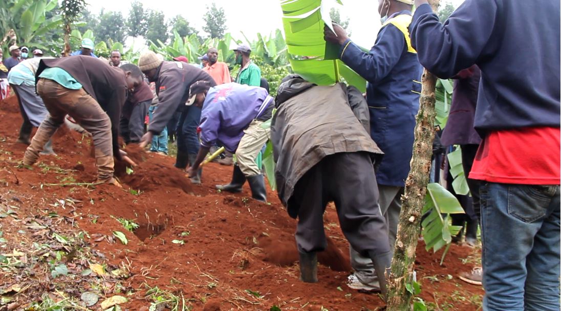 Murang’a residents forced to bury banana trunk after 50-year-old man’s interment was cancelled due to family dispute