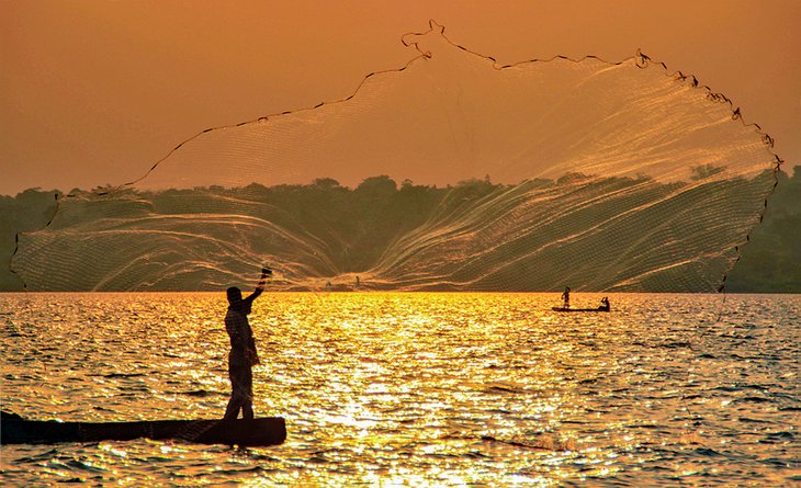 Maajabu! Police stop night fish theft from deep Lake Victoria