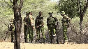 Two Samburu men on the run after defiling 12-year-old girl