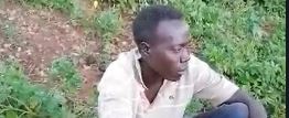 Shock as Baringo man caught  having sex with cow at night