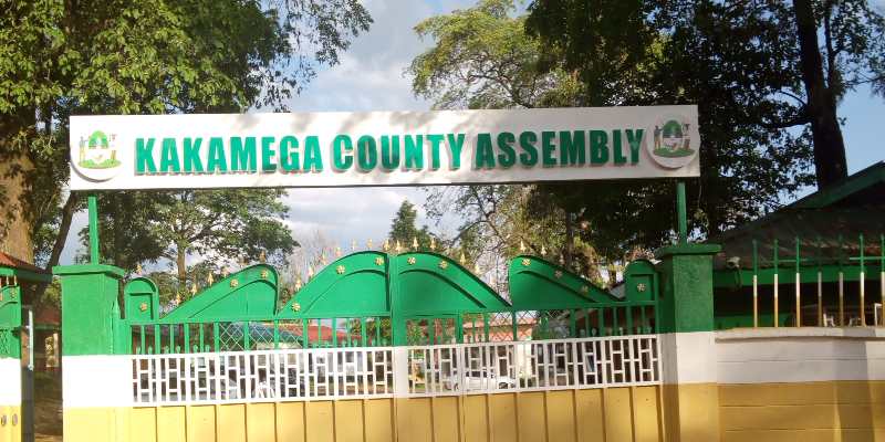 Anger in Kakamega as county govt proposes tax on male circumcision and post-mortem on dead cats, chicken, dogs
