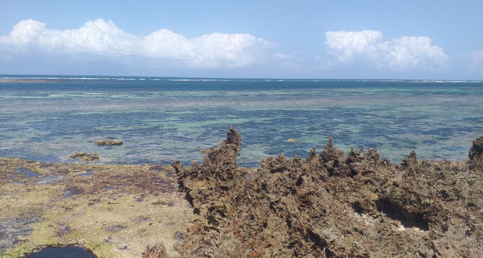 Chale Island