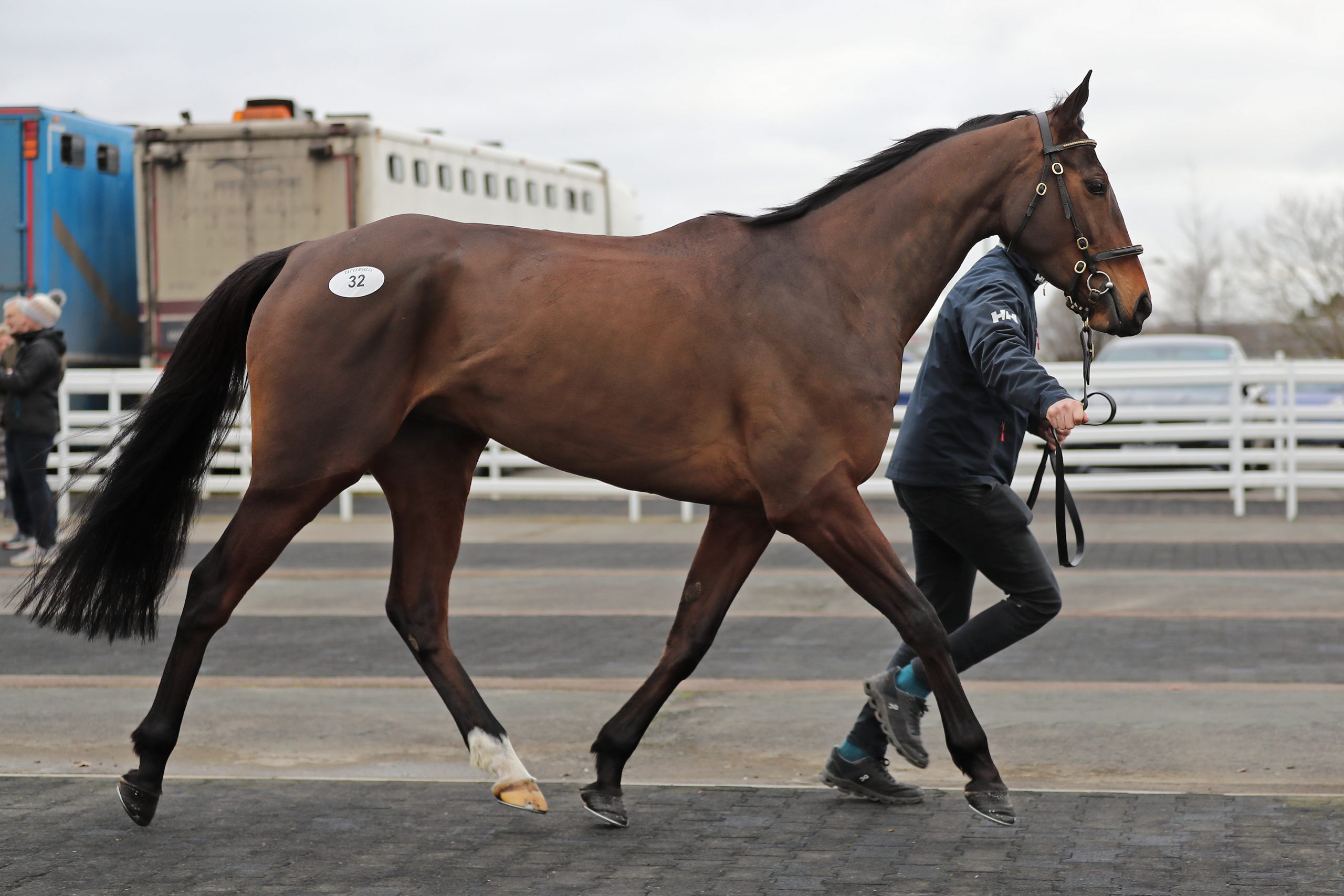 Milton Harris: Mastering the art of Horse Racing training