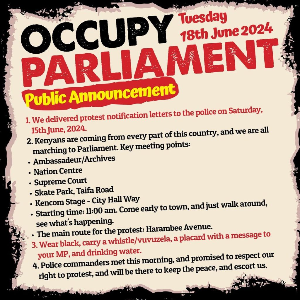 Occupy parliament protest poster. PHOTO/@bonifacemwangi/Instagram