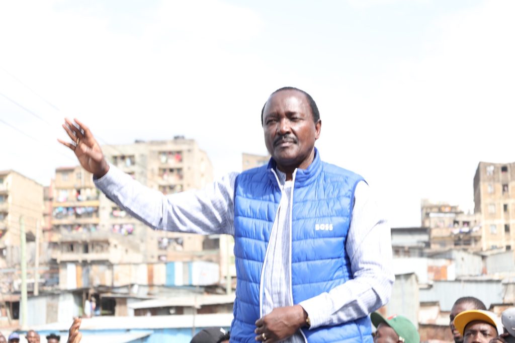 Wiper Party leader Stephen Kalonzo Musyoka.