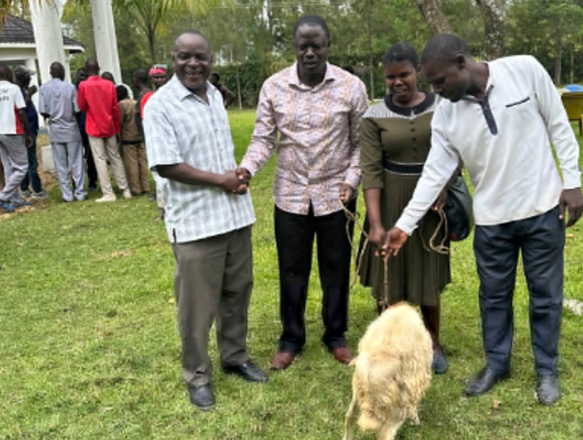 Homa Bay Town MP Peter Kaluma receiving a sheep from his constituents. PHOTO/@gpdkaluma/X