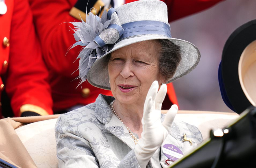 Princess Anne during a past royal event. PHOTO/@MailOnline/X