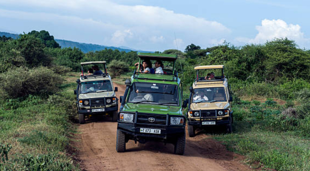 Tourist tracks on Safari. PHOTO/@ACCUSmayor/X