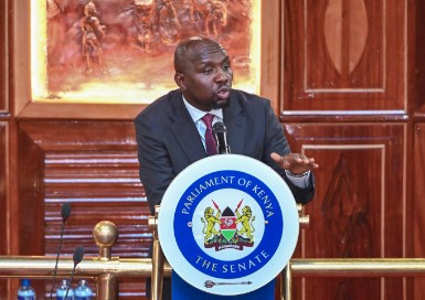 Kipchumba Murkomen addresses the senate. PHOTO/@kipmurkomen/x