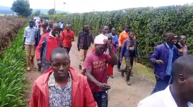 A section of Kapchorua ward residents while staging demos outside the gate of Kapchorua Tea Factory. PHOTO/Isaiah Cheruiyot