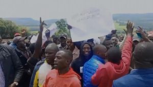 A section of Kapchorua ward residents while staging demos outside the gate of Kapchorua Tea Factory. PHOTO/Isaiah cheruiyot