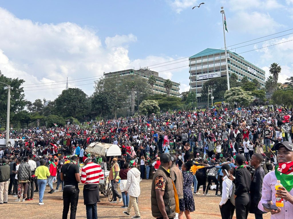 Gen Zs attending the Shujaaz memorial concert.PHOTO/#Uhuru Park/X