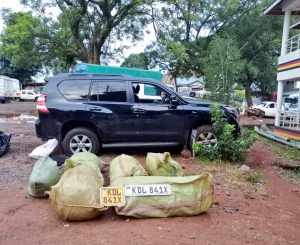 The vehicle and bhang nabbed by police in Kisii. PHOTO/@DCI_Kenya/X