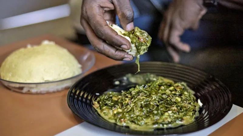 Maize meal, or nshima, is Zambia's staple food. PHOTO/AFP