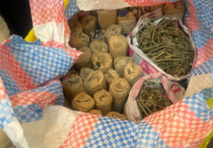 Some of the bhang seized by the authorities in one of the operation. PHOTO/@DCI_Kenya/X