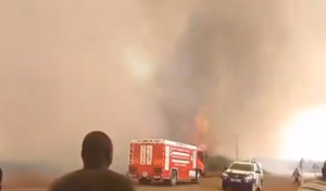 A fire rages at the Arabuko-Sokoke Forest in Kilifi County on Friday, September 27, 2024. Screengrab by K24 Digital from @KenyaRedCross/X