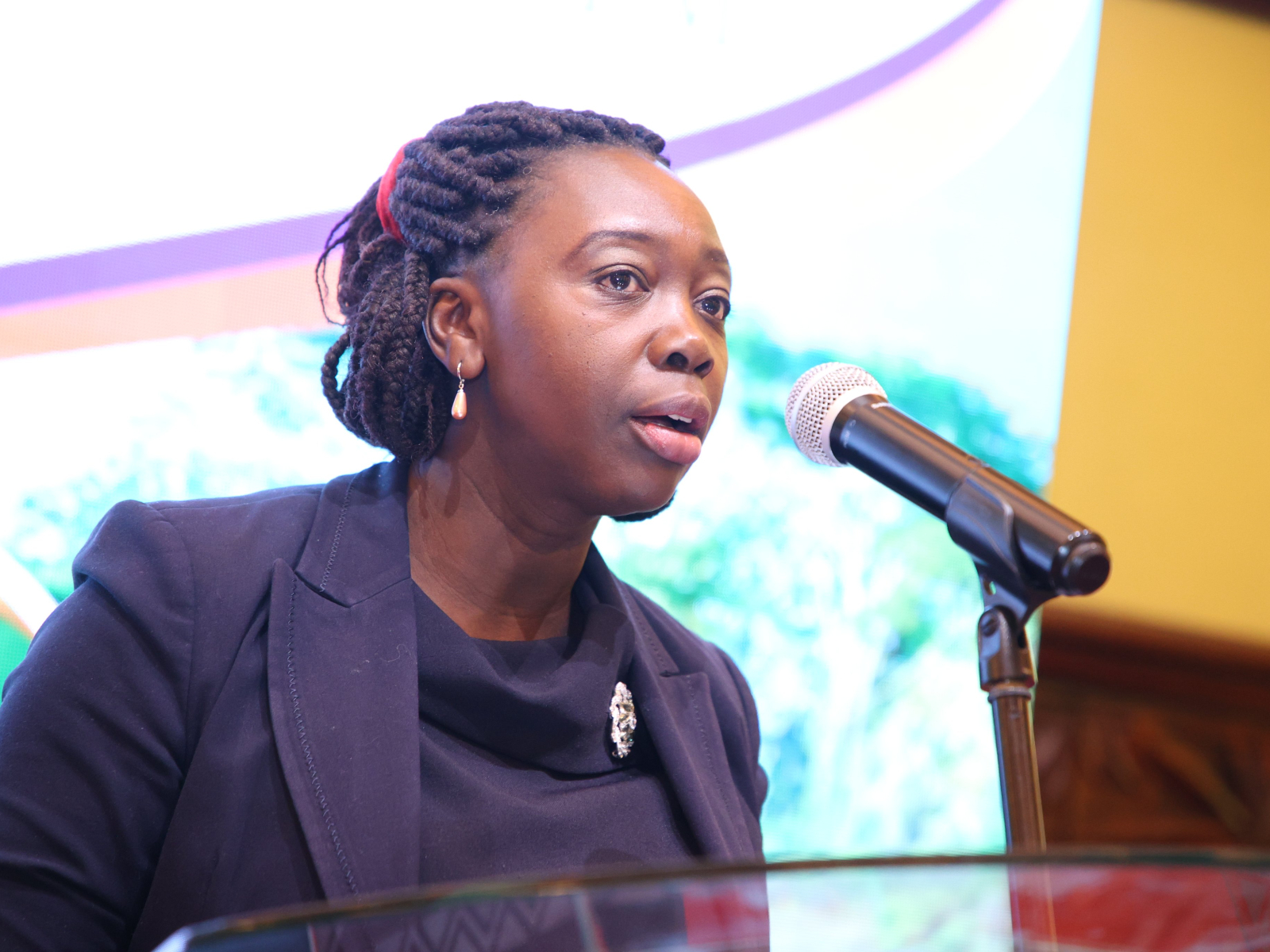 FIDA-Kenya Chairperson Christine Kungu. PHOTO/@fidakenya/X