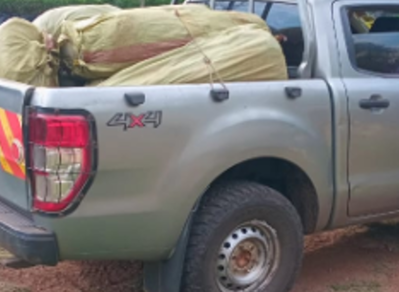 A pickup loaded with cannabis impounded by police. PHOTO/@DCI_Kenya/X