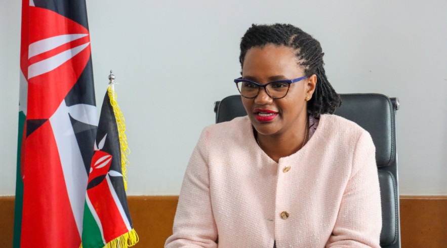 Diaspora Affairs Principal Secretary Roseline Njogu speaks during a past event. PHOTO/@Diaspora_KE/X