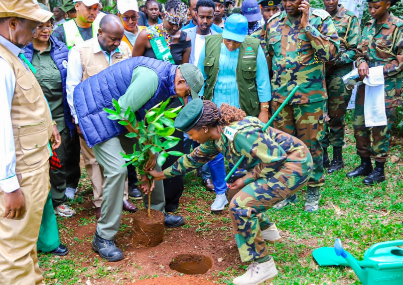 Environment CS Aden Duale leading team in tree planting exercise during Mazingira Day at the Nairobi Arboretum on Thursday, October 10, 2024. PHOTO/Environment_Ke/X