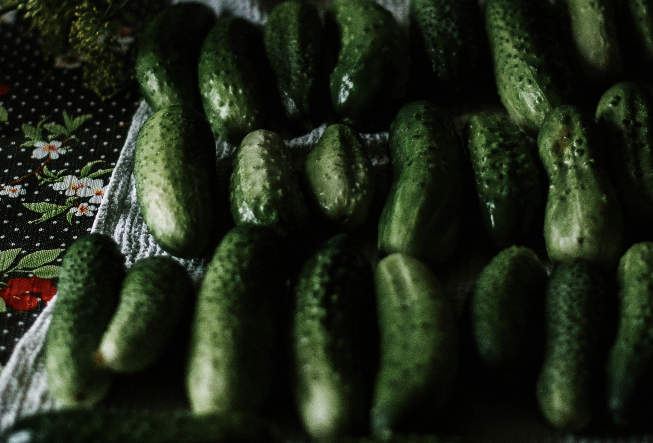 Cucumbers. PHOTO/Pexels