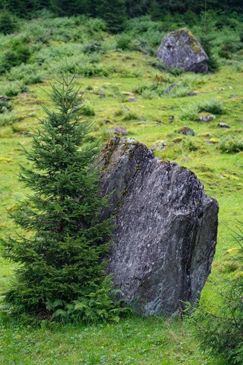 A visual representation on an undeveloped piece of land. PHOTO/Pexels