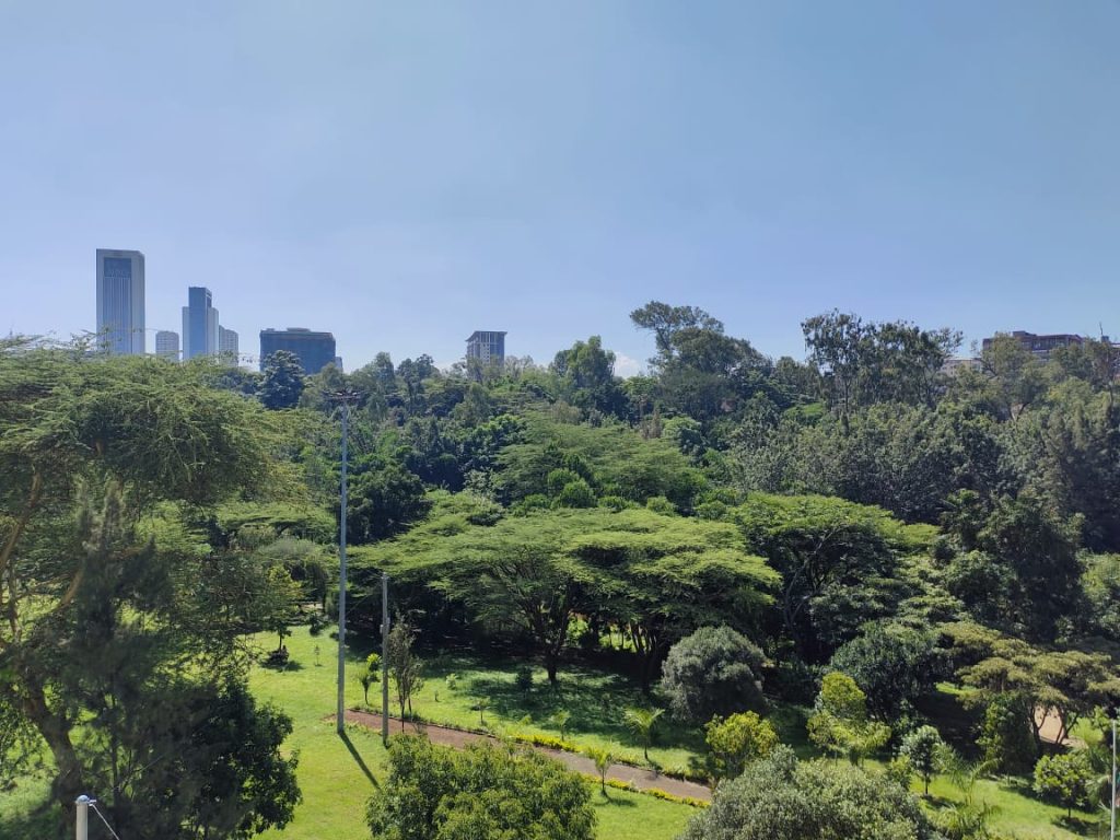 An aerial view over Michuki Park showing commercial development in Westlands. PHOTO/ Lutta Njomo