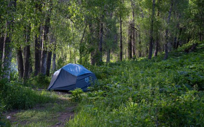 A small backpacking tent in the woods. PHOTO/Pexels