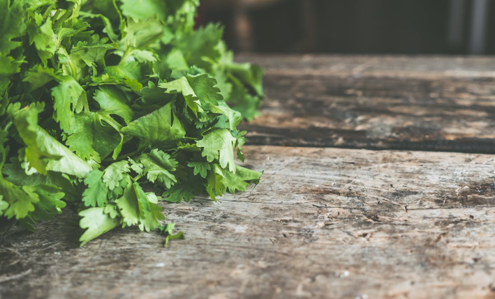 Freshly-harvested coriander on a chopping board. PHOTO/Pexels