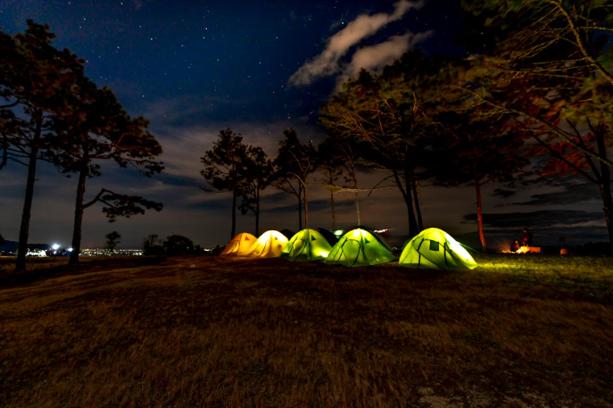 Dome tents illuminated by lights inside them. PHOTO/Pexels