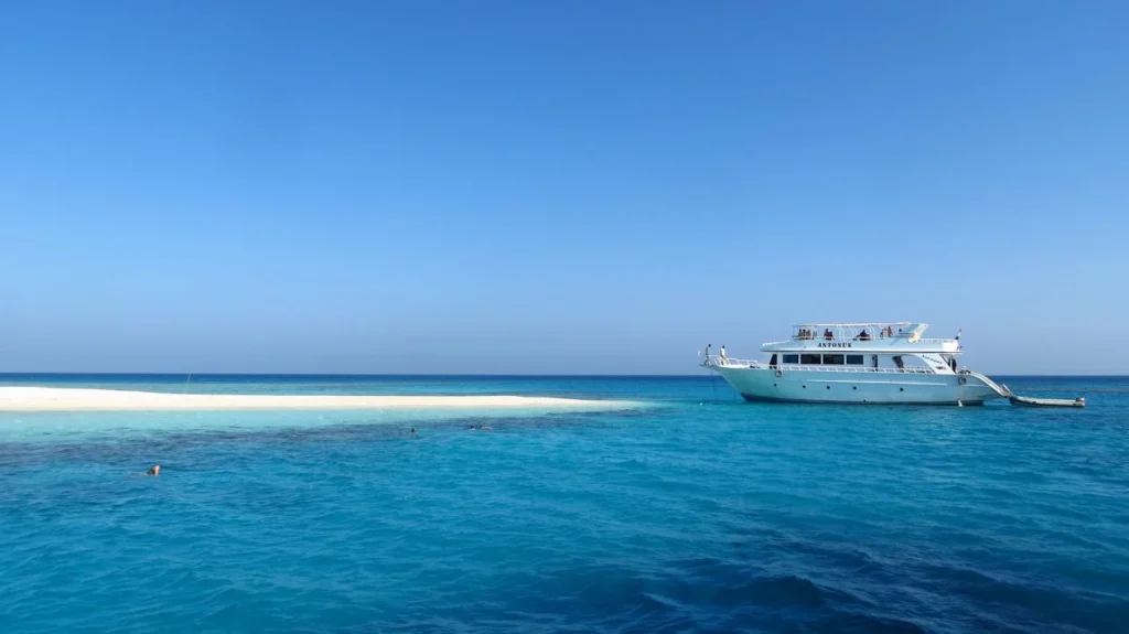 White Yacht Sailing,image used for representation purposes.PHOTO/Pexels