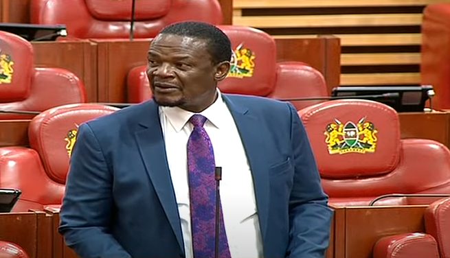 Sirisia MP John Waluke speaks in parliament on November 26, 2024. Screengrab by k24 Digital from PBU