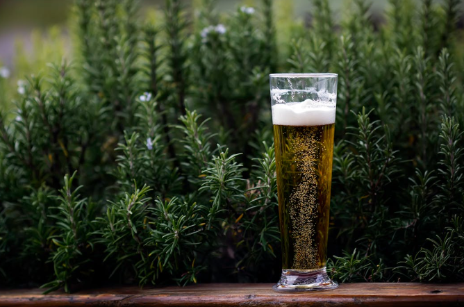 Alcohol filled on a glass. Photo used for representation purpose only. PHOTO/Pexels