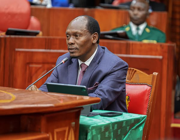 ICT Cabinet Secretary nominee William Kabogo appearing before the committee on appointments on Tuesday January 14, 2025. PHOTO/https://www.facebook.com/ParliamentKE