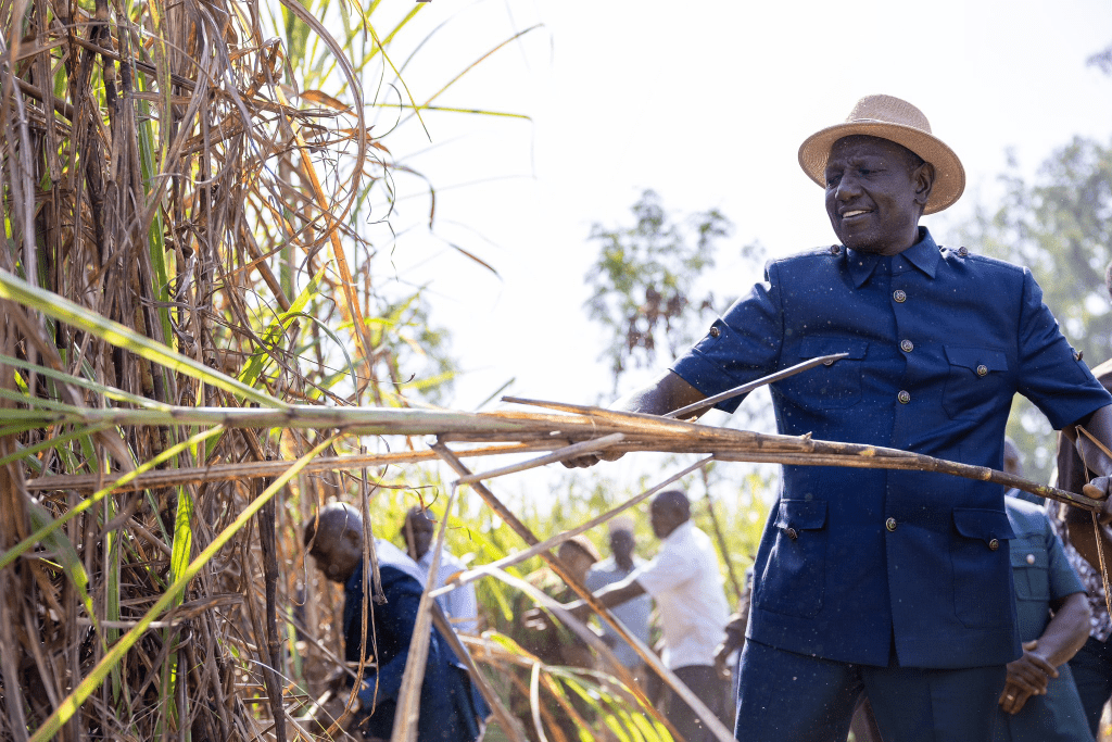 President William Ruto while in Kakamega County during the presidential tour